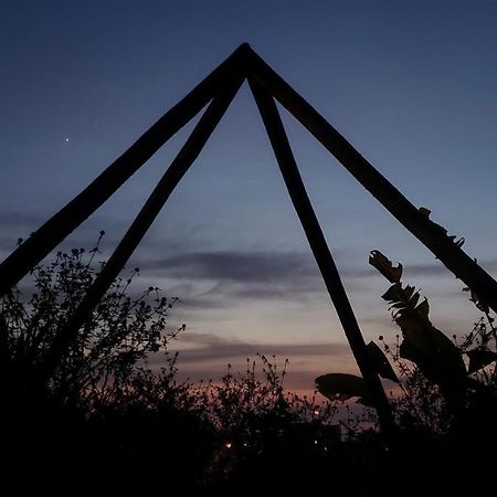 Clorofila House Glamping Naturista Убатуба Екстериор снимка