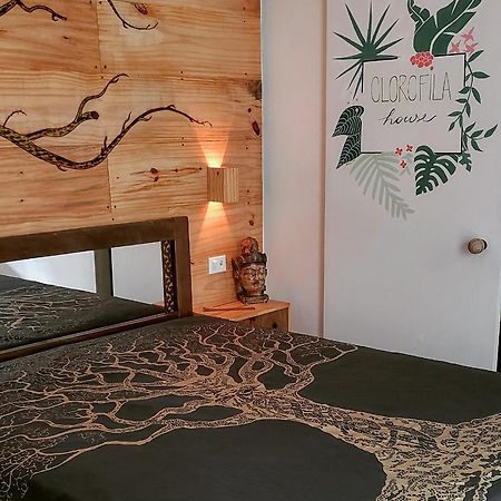 Clorofila House Glamping Naturista Убатуба Екстериор снимка