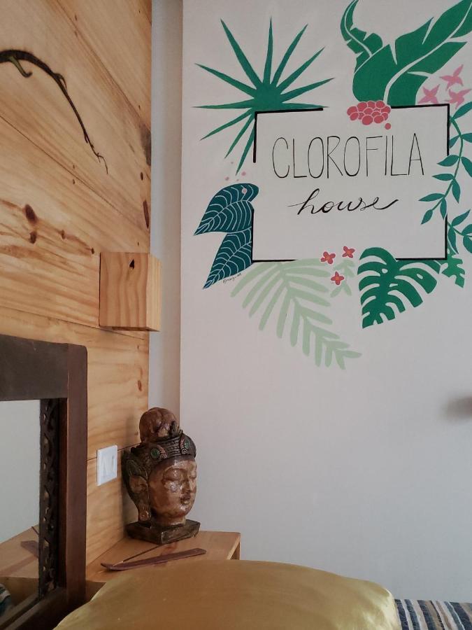Clorofila House Glamping Naturista Убатуба Екстериор снимка