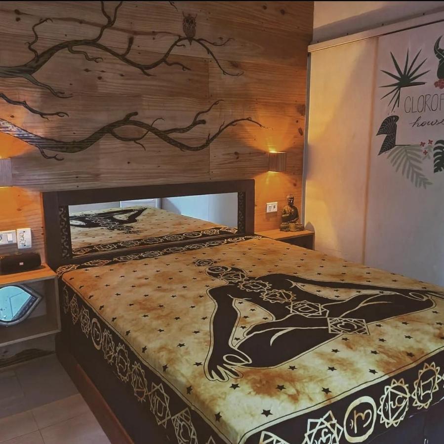 Clorofila House Glamping Naturista Убатуба Екстериор снимка