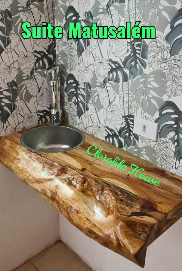 Clorofila House Glamping Naturista Убатуба Екстериор снимка