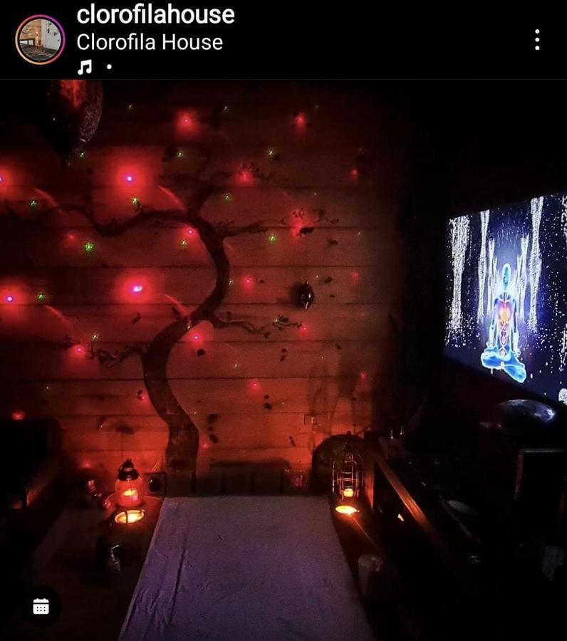Clorofila House Glamping Naturista Убатуба Екстериор снимка