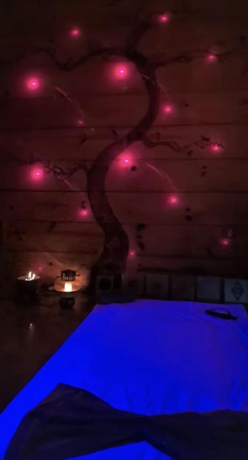 Clorofila House Glamping Naturista Убатуба Екстериор снимка